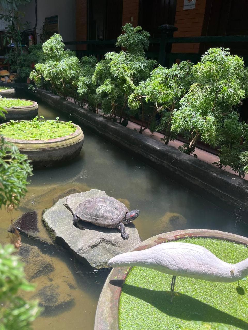 Jasmine Lodge Siem Reap Exterior photo
